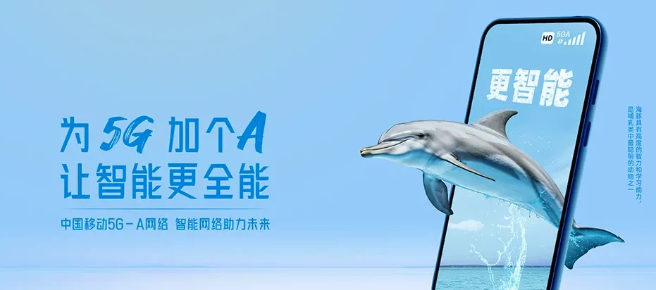 云和县云和县赤石乡 移动宽带